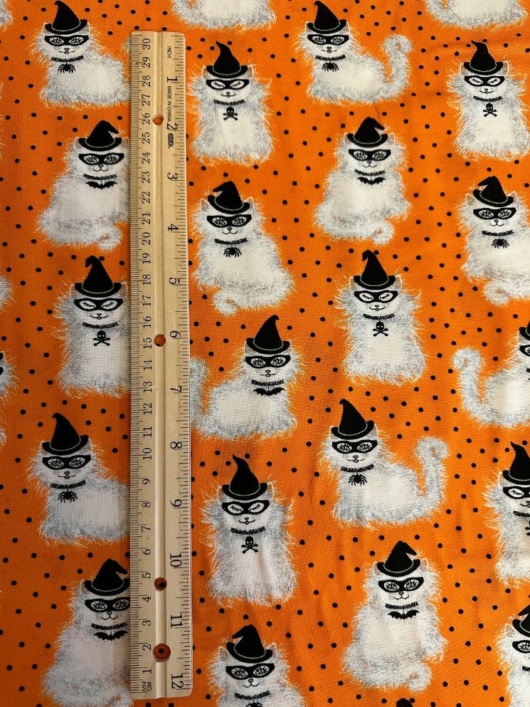 44 x 36 Halloween Spell on You Cats on Orange Fabric Traditions 100% Cotton