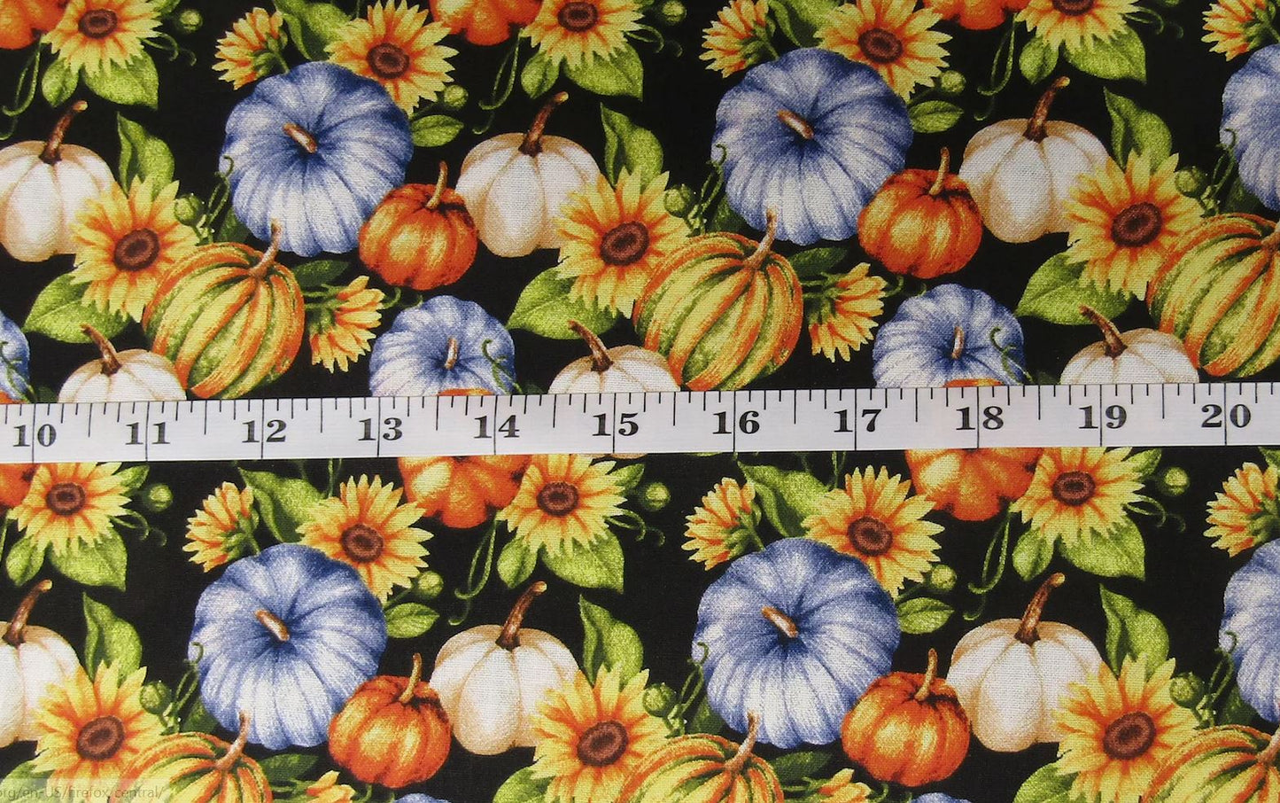 45 x 36 Pumpkins and Gourds on Black by the yard Fall Autumn Thanksgiving Fabric