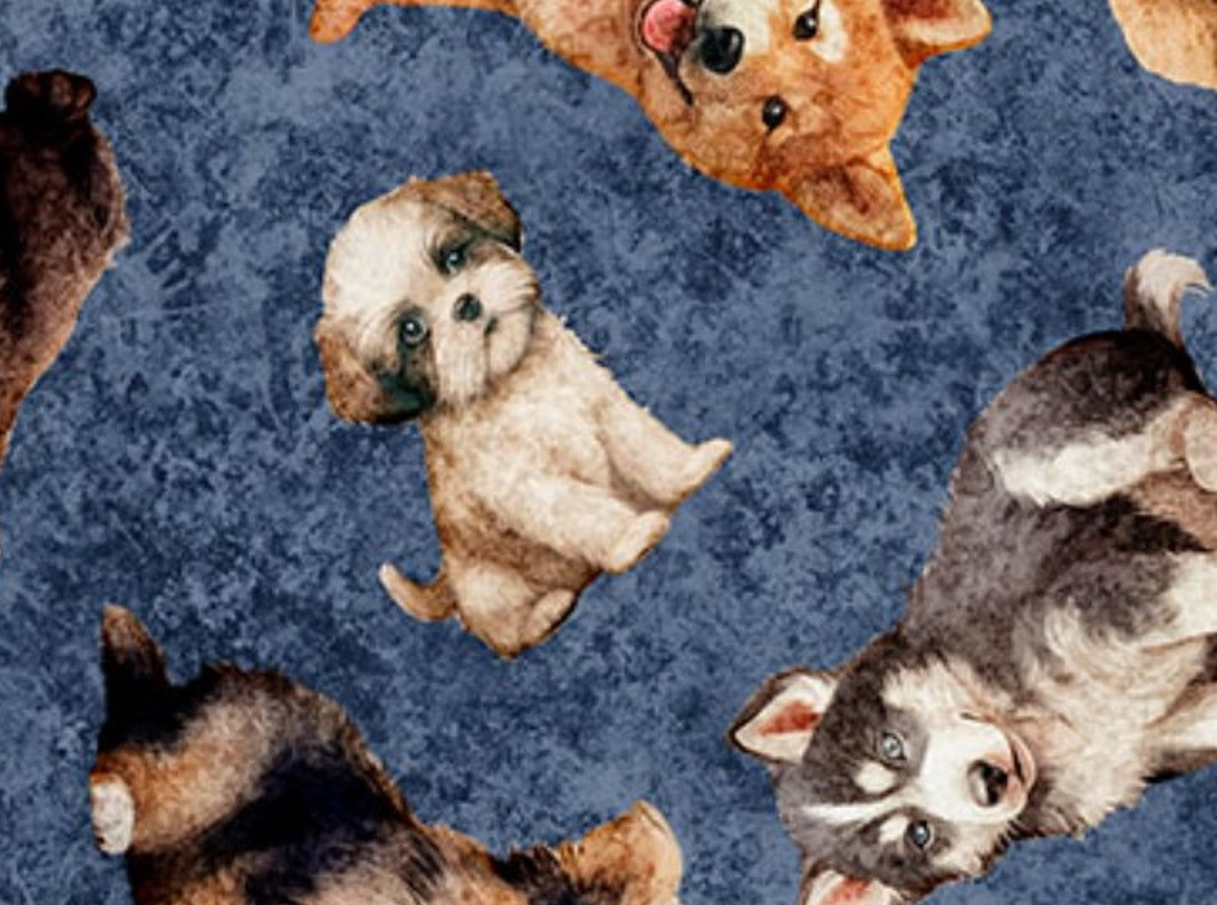 QT Fabrics Puppy Toss on Denim Blue Novelty 100% Cotton Price per Yard