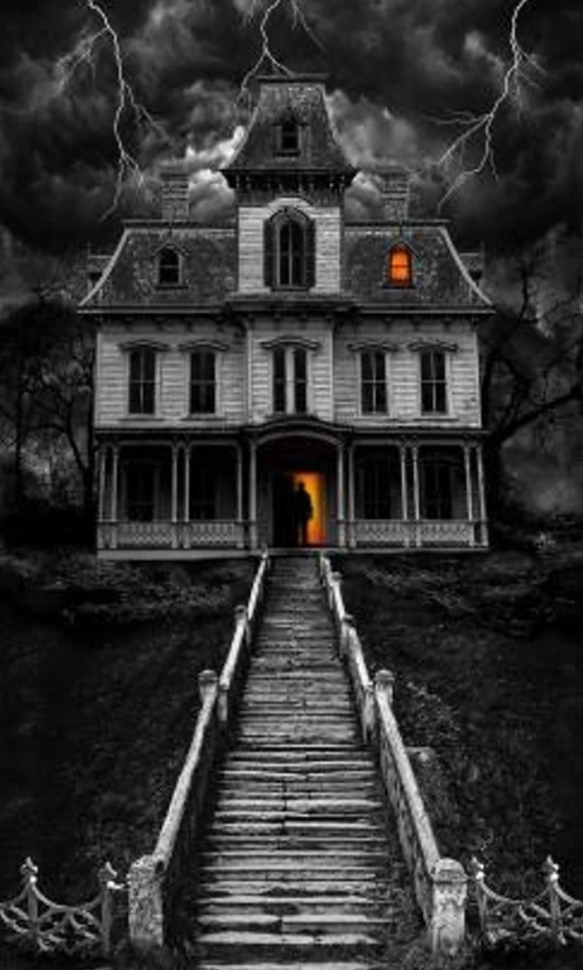 Timeless Treasures Halloween Wicked 24" Panel Haunted House Gray 100% Cotton Fabric Price per Panel
