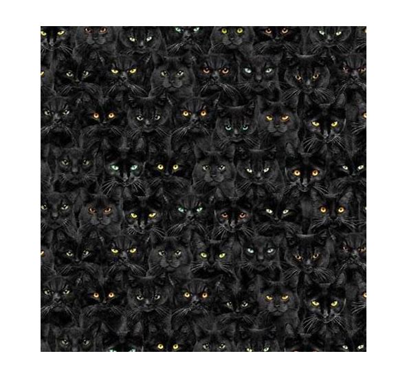 Timeless Treasures Halloween Wicked Black Cats 100% Cotton Fabric Price per Yard