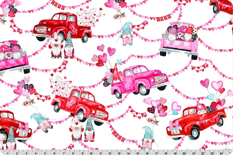 MINKY My Gnomie Pink 60 x 36 Valentine Digital Shannon Fabrics 100% Polyester