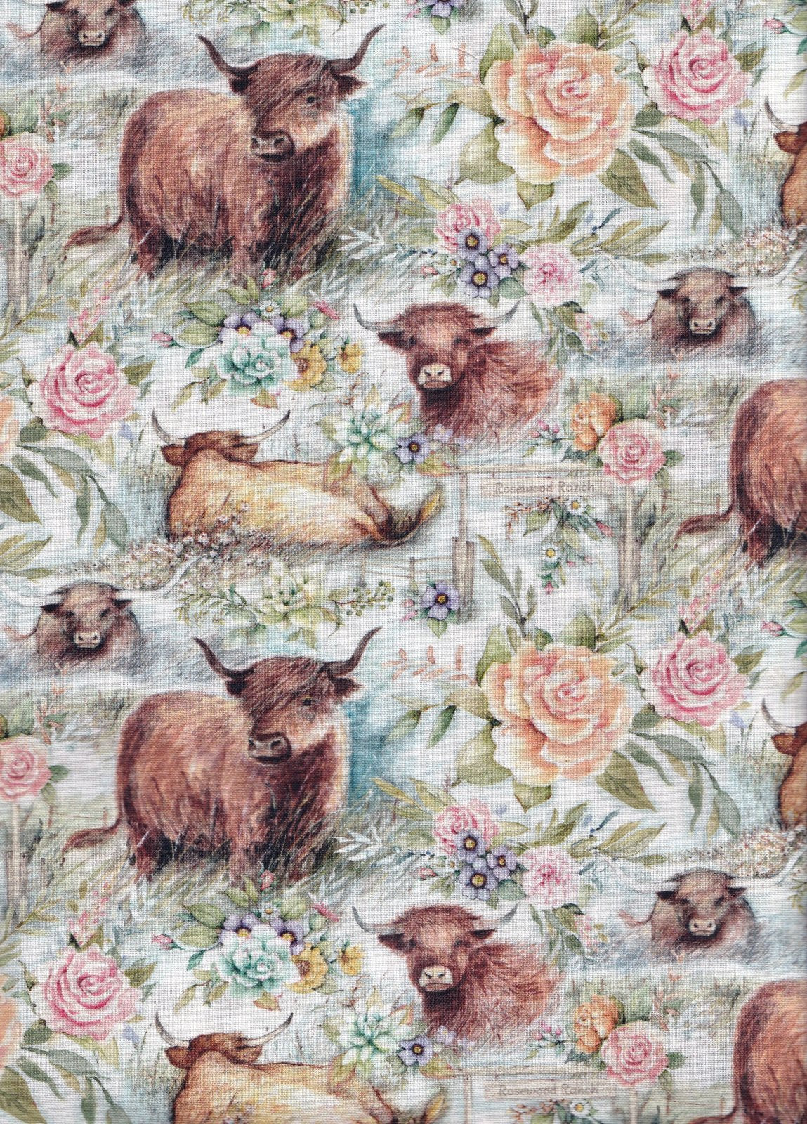 Springs Creative Highland Cows Ranch Floral