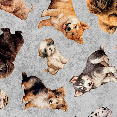 QT Fabrics Puppy Toss on Gray Novelty 100% Cotton Price per Yard