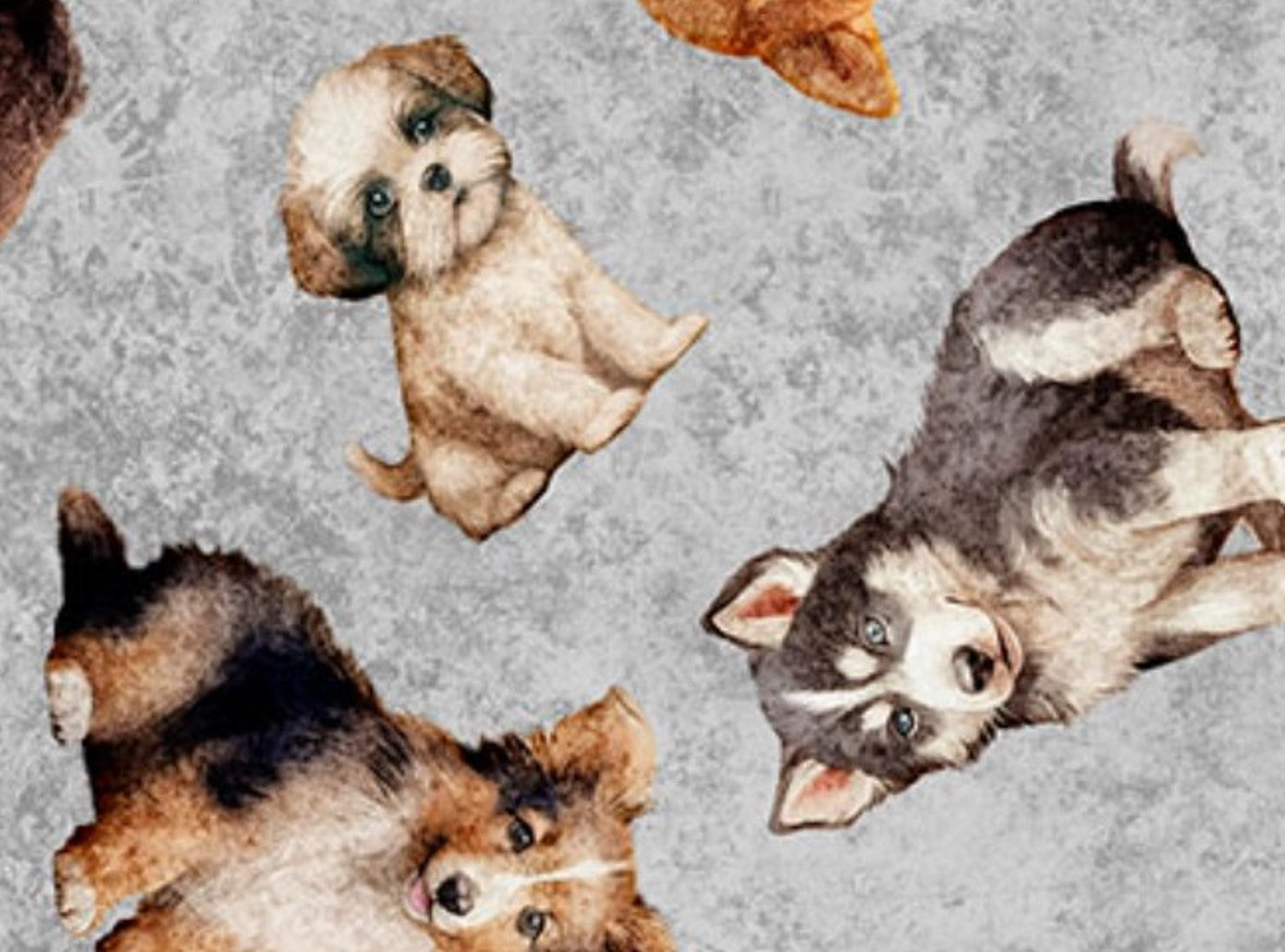QT Fabrics Puppy Toss on Gray Novelty 100% Cotton Price per Yard