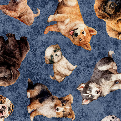 QT Fabrics Puppy Toss on Denim Blue Novelty 100% Cotton Price per Yard