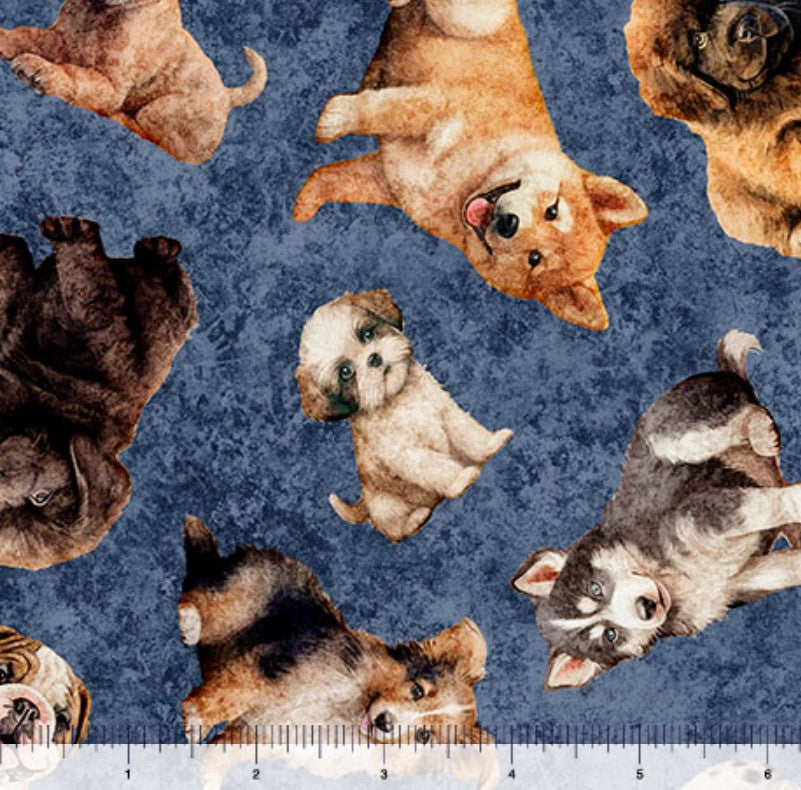 QT Fabrics Puppy Toss on Denim Blue Novelty 100% Cotton Price per Yard