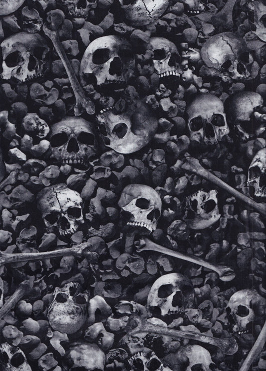 Timeless Treasures Wicked Ash Skulls and Bones 100% Cotton Fabric Halloween