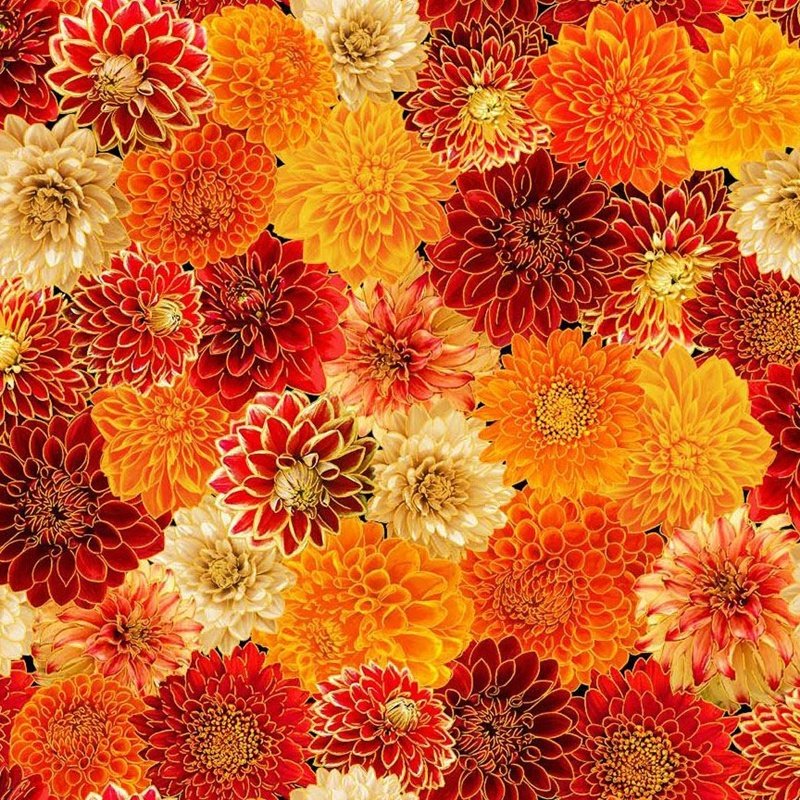Thanksgiving Packed Mums Chrysanthemum Mix Metallic 100% Cotton Price per Yard