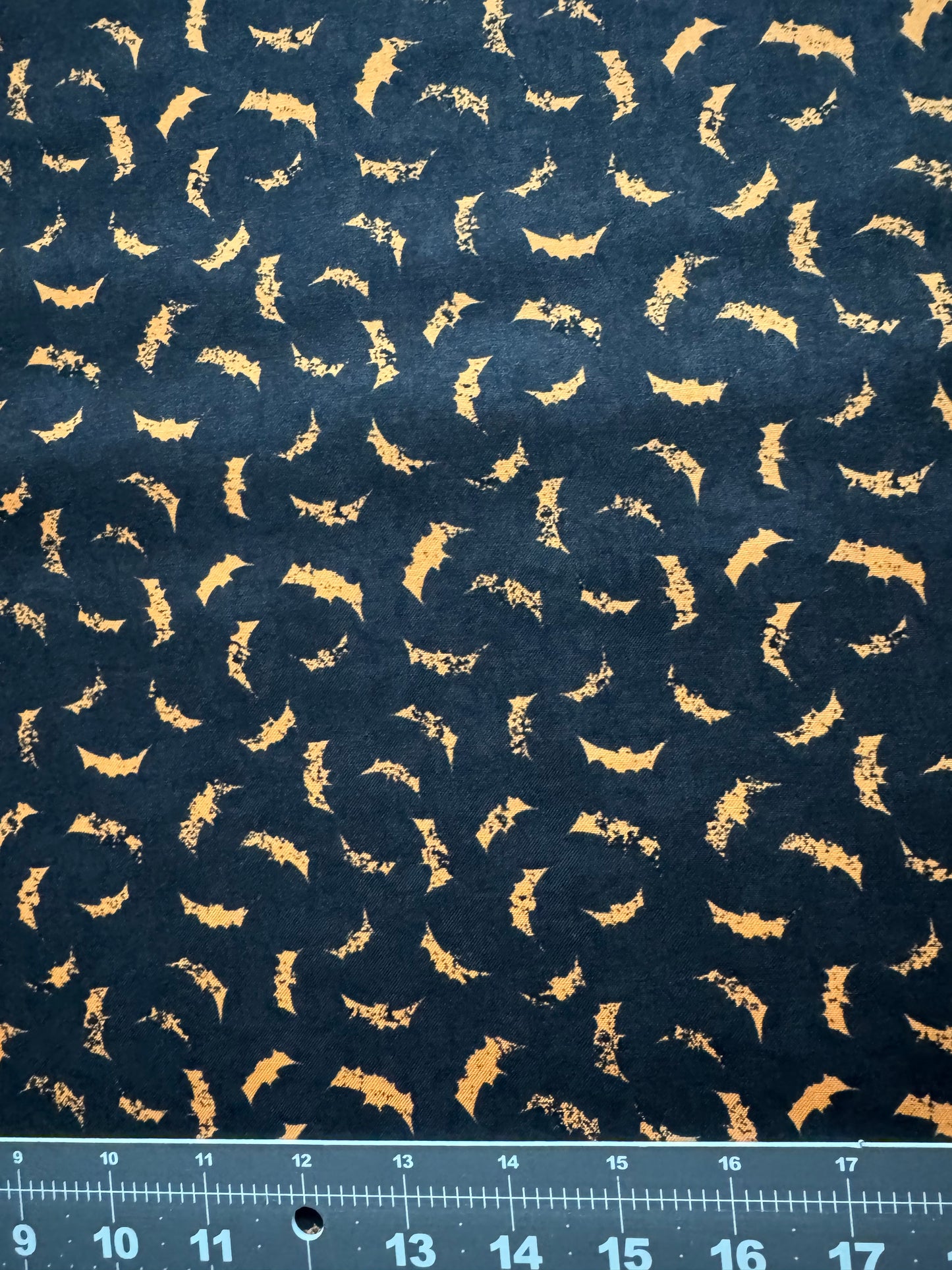Halloween Orange Bats on Black