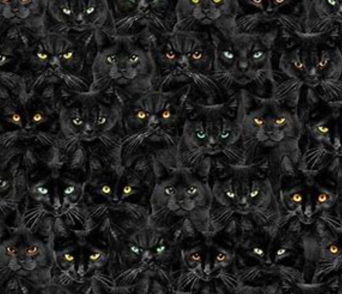 Timeless Treasures Halloween Wicked Black Cats 100% Cotton Fabric Price per Yard
