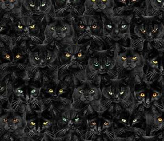 Timeless Treasures Halloween Wicked Black Cats 100% Cotton Fabric Price per Yard