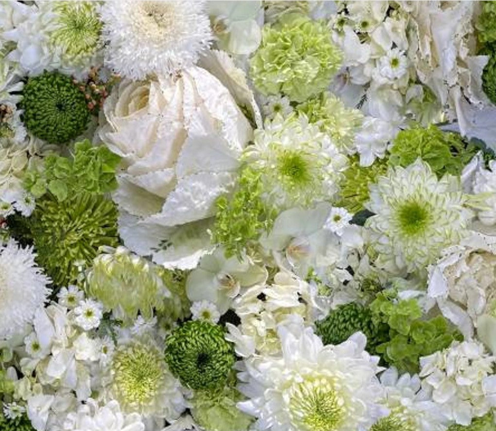 Christmas 8 Piece Fat Quarter Set 18" x 21" Hand Picked Christmas Collection Green Precut