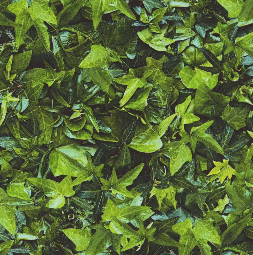 Christmas 8 Piece Fat Quarter Set 18" x 21" Hand Picked Christmas Collection Green Precut