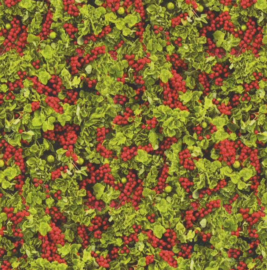 Christmas 8 Piece Fat Quarter Set 18" x 21" Hand Picked Christmas Collection Green Precut