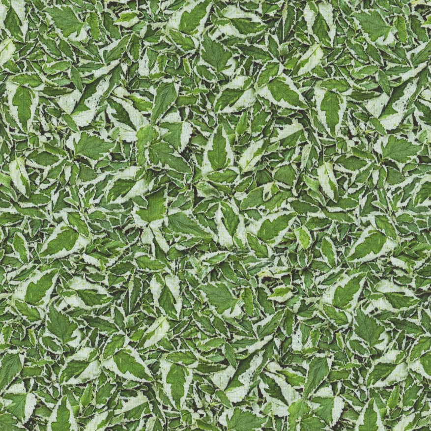 Christmas 8 Piece Fat Quarter Set 18" x 21" Hand Picked Christmas Collection Green Precut